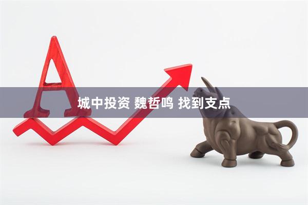 城中投资 魏哲鸣 找到支点