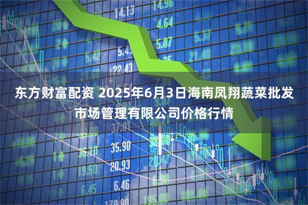 东方财富配资 2025年6月3日海南凤翔蔬菜批发市场管理有限公司价格行情