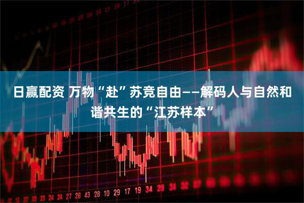 日赢配资 万物“赴”苏竞自由——解码人与自然和谐共生的“江苏样本”