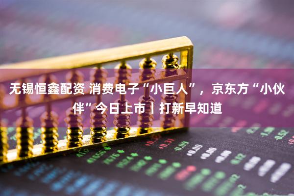 无锡恒鑫配资 消费电子“小巨人”，京东方“小伙伴”今日上市丨打新早知道