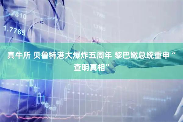 真牛所 贝鲁特港大爆炸五周年 黎巴嫩总统重申“查明真相”