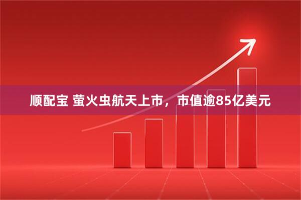 顺配宝 萤火虫航天上市，市值逾85亿美元