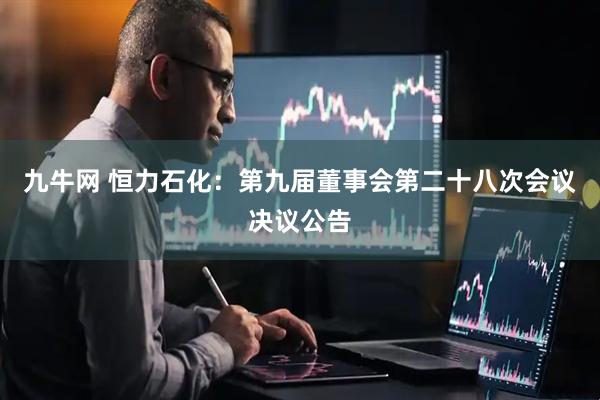 九牛网 恒力石化：第九届董事会第二十八次会议决议公告