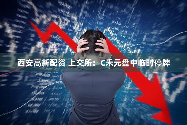 西安高新配资 上交所：C禾元盘中临时停牌