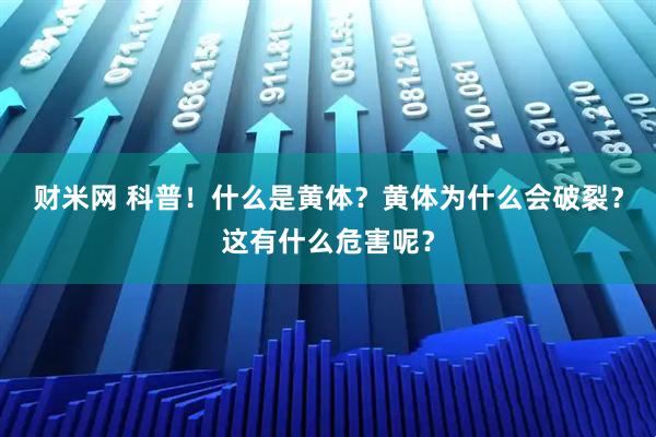 财米网 科普！什么是黄体？黄体为什么会破裂？这有什么危害呢？
