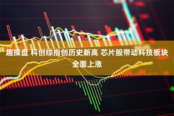 趣操盘 科创综指创历史新高 芯片股带动科技板块全面上涨